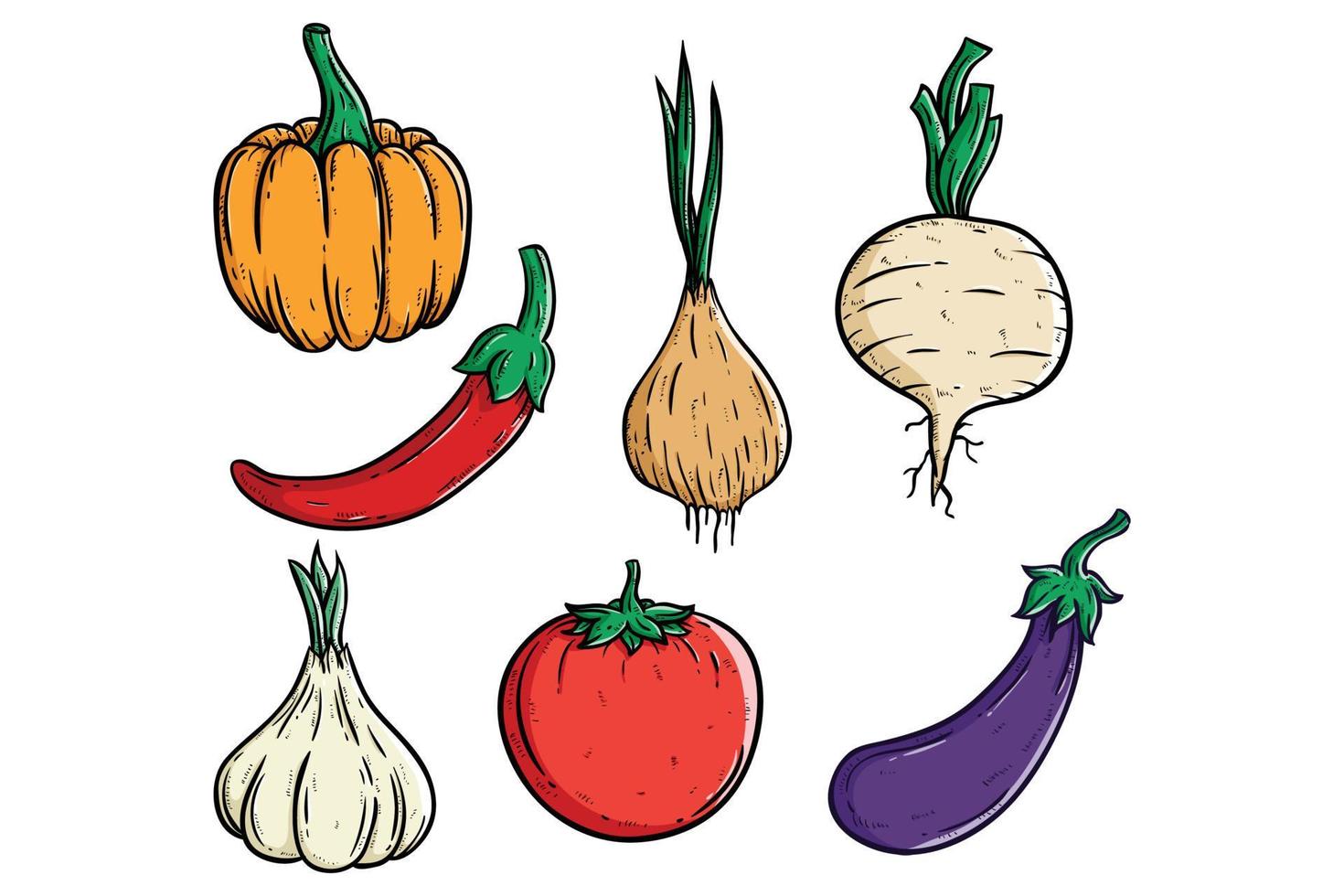 Gekritzel Gemüse Sammlung mit Kürbis, Tomate und Rettich vektor