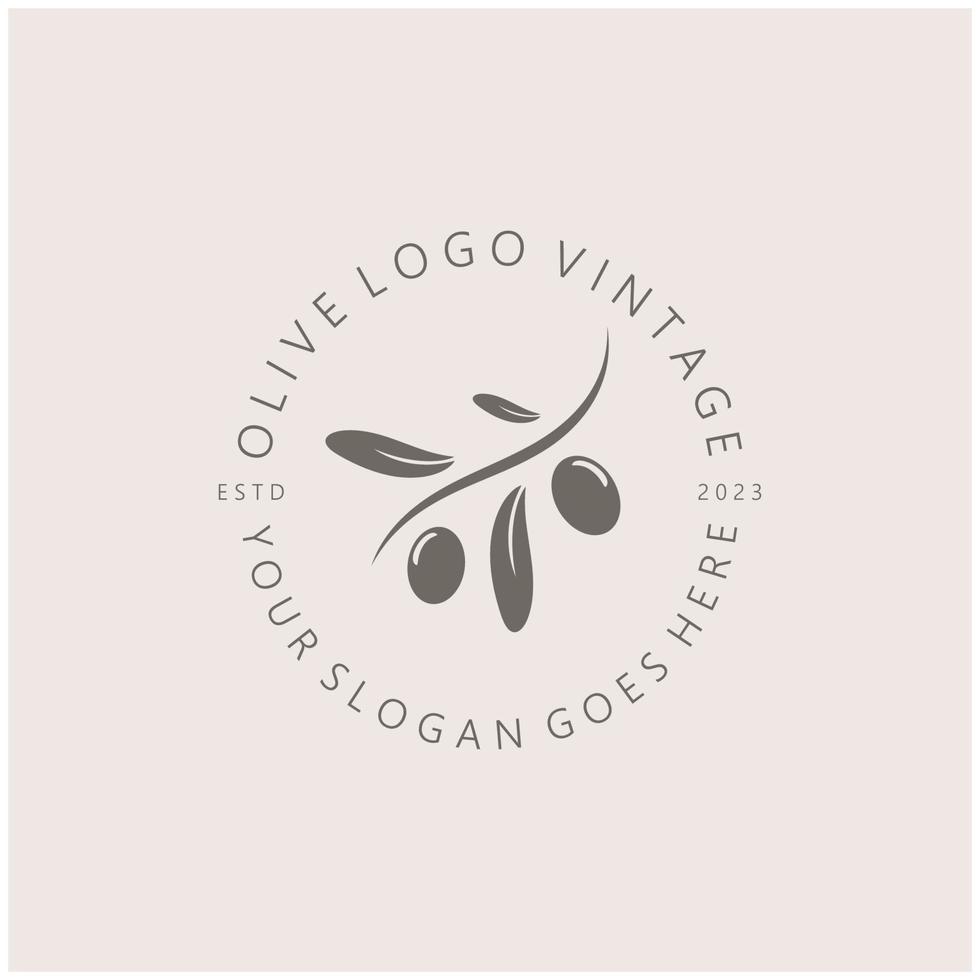 Blatt Pflanze Logo und natürlich Olive Obst .Kräuter,Olive Öl, Kosmetik oder Schönheit,Wirtschaft,Kosmetik,Landwirtschaft,Ökologie konzept, spa, gesundheit, yoga Mitte, Vektor