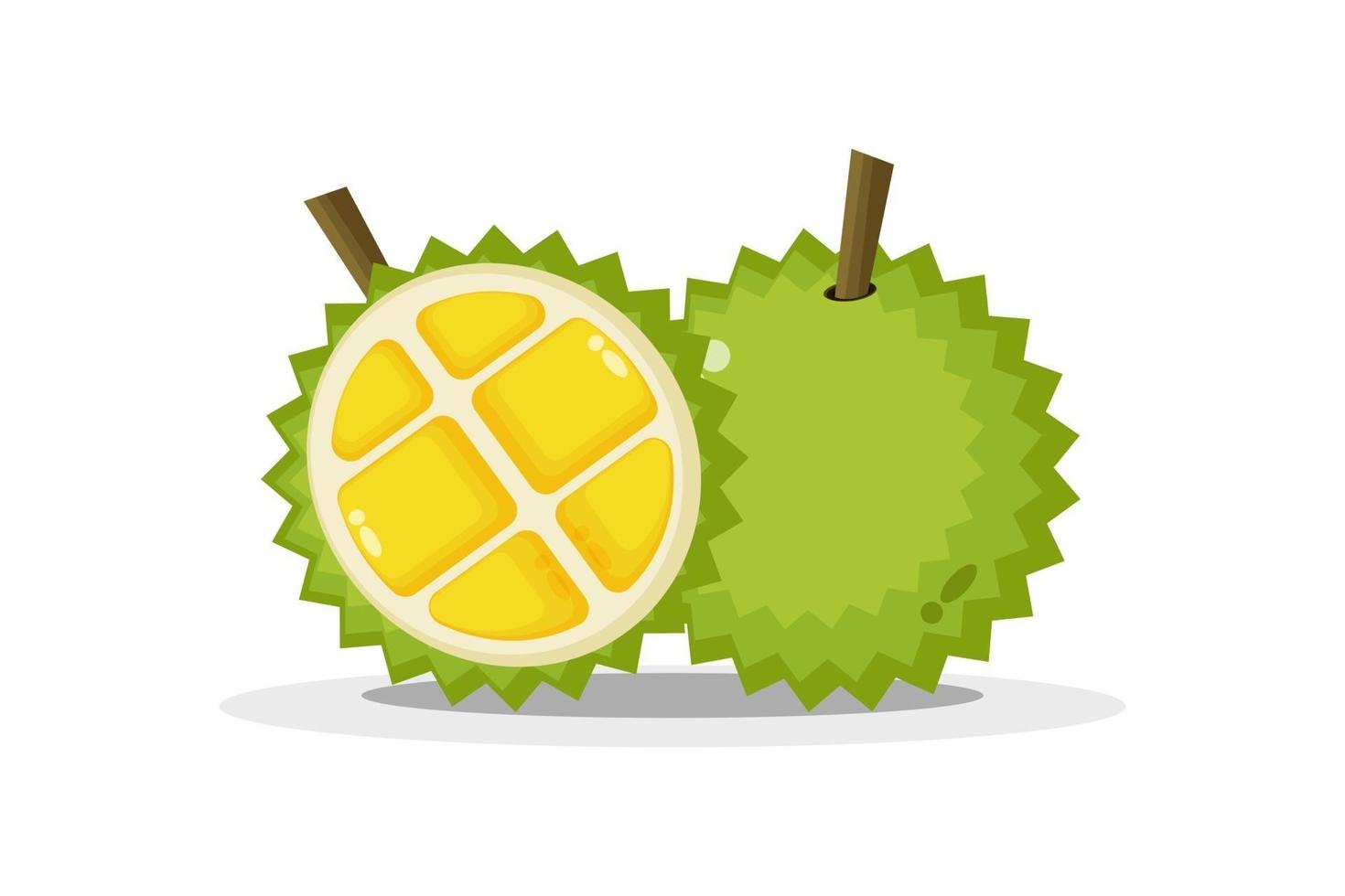durian och durian skivor vektor