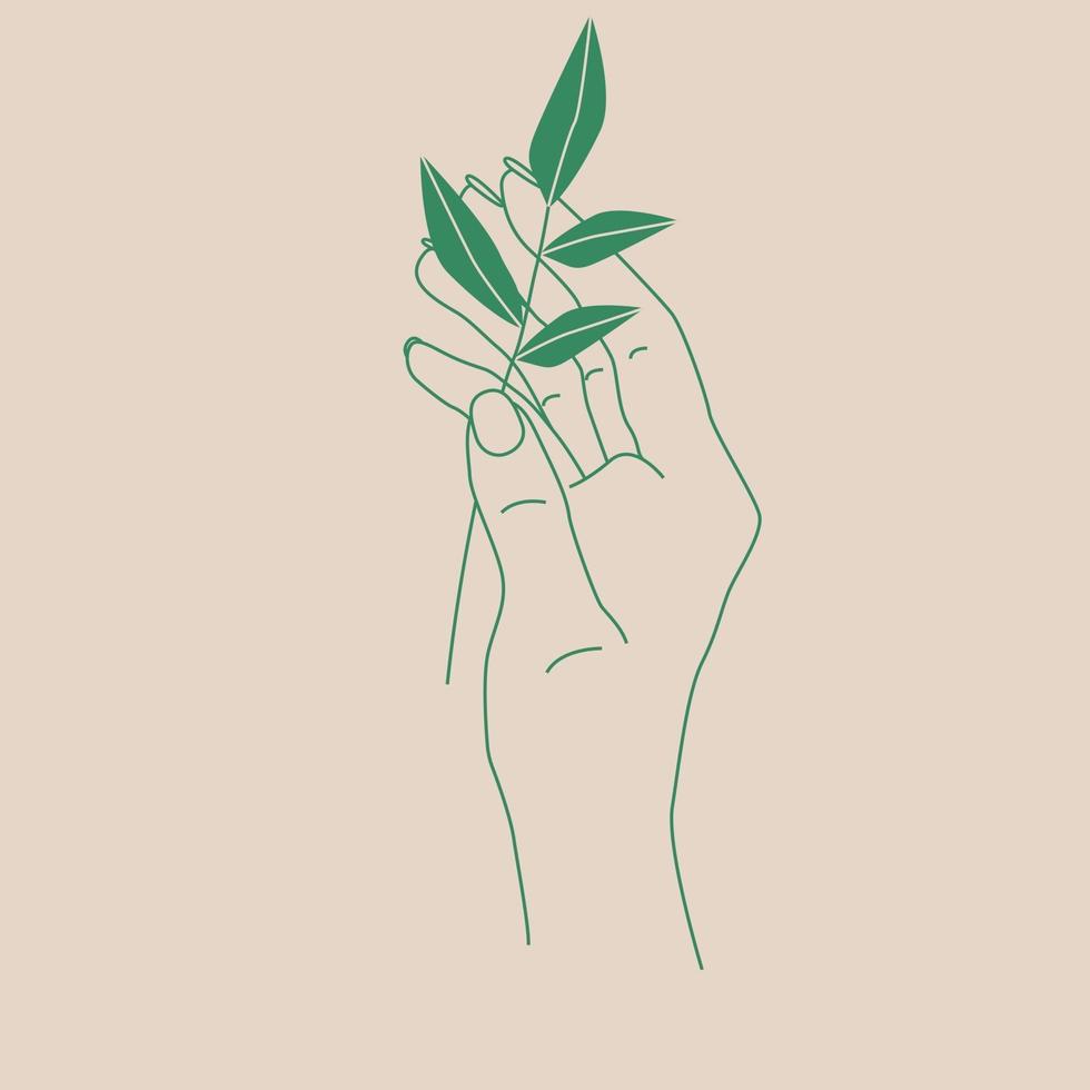 dünne Linienillustration einer Hand, die einen grünen Spross hält. elegante Linien der Hand. vektor