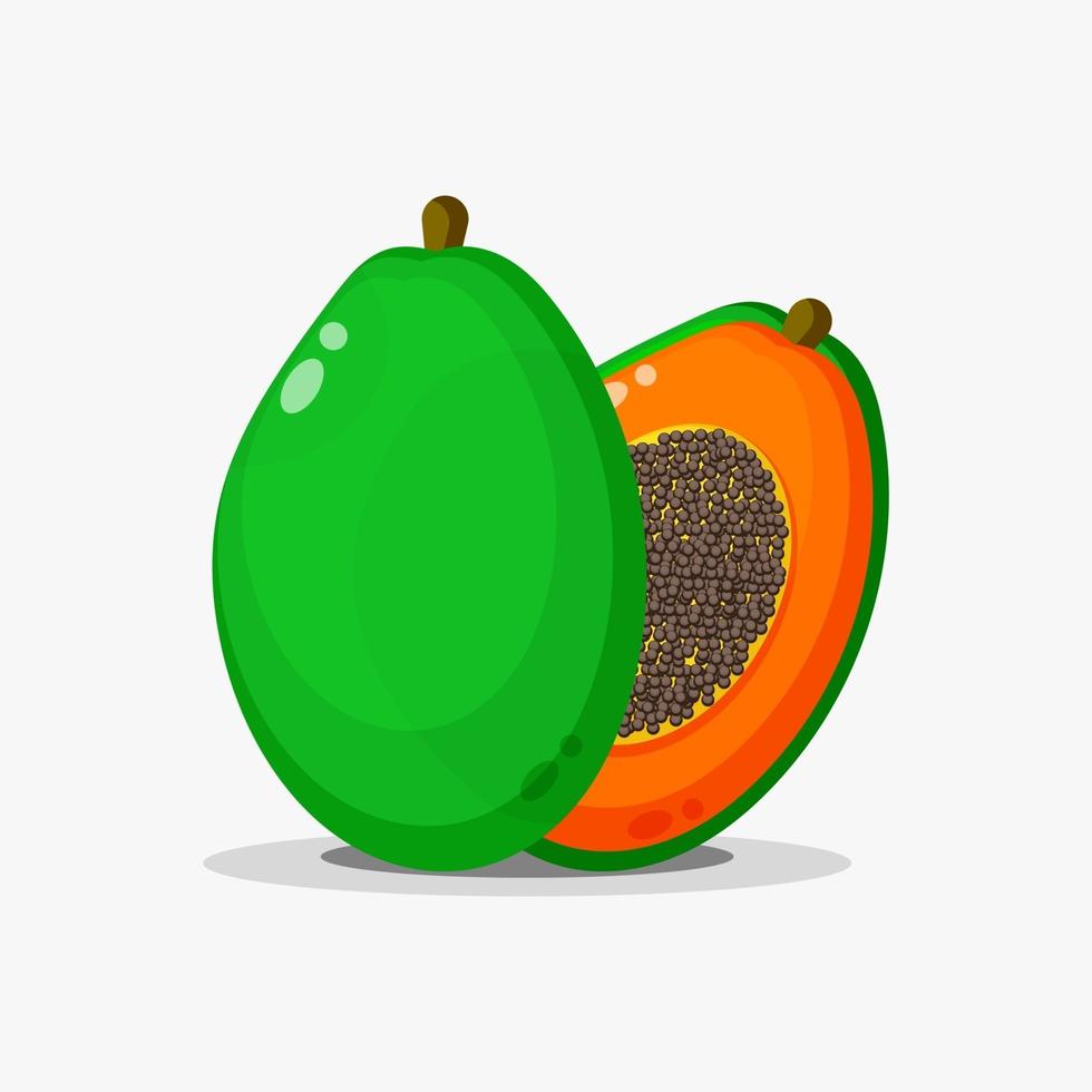 papaya frukt och papaya skivor vektor