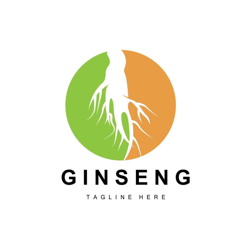 Ginseng Logo, Kräuter- Pflanze Vektor, natürlich Kräuter- Medizin, Ginseng Kräuter- trinken Symbol vektor