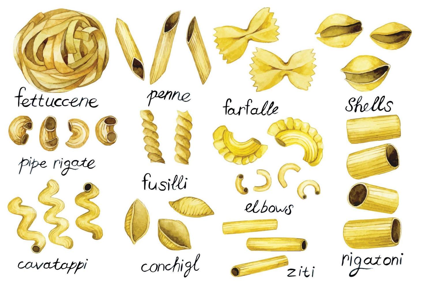 Aquarell Zeichnung, Pasta Typen Satz. süß Jahrgang Illustration, Pasta, Italienisch Lebensmittel. Küche von das Welt vektor