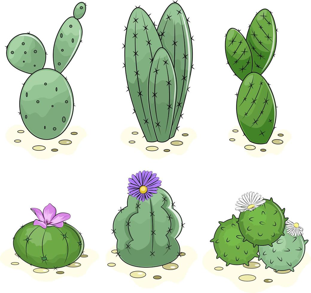 Illustration von ein Kaktus mit Blätter vektor