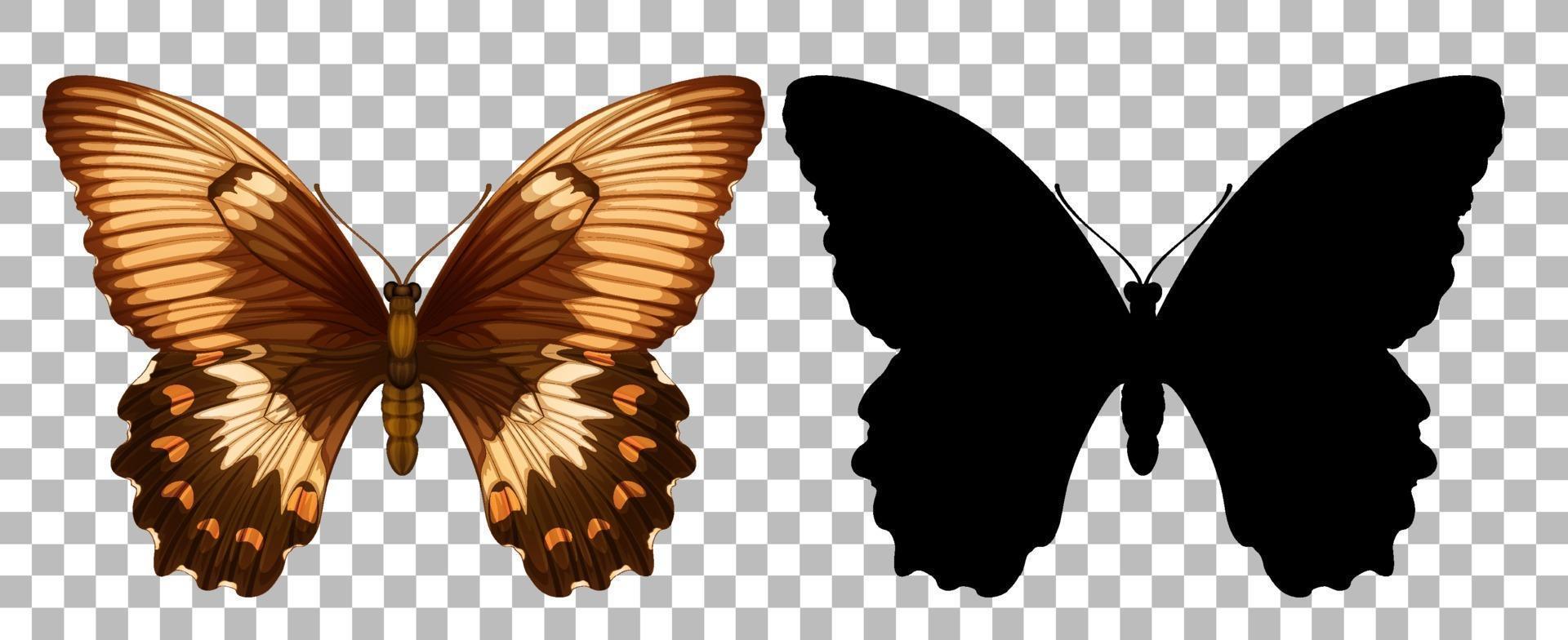 Schmetterling und seine Silhouette vektor