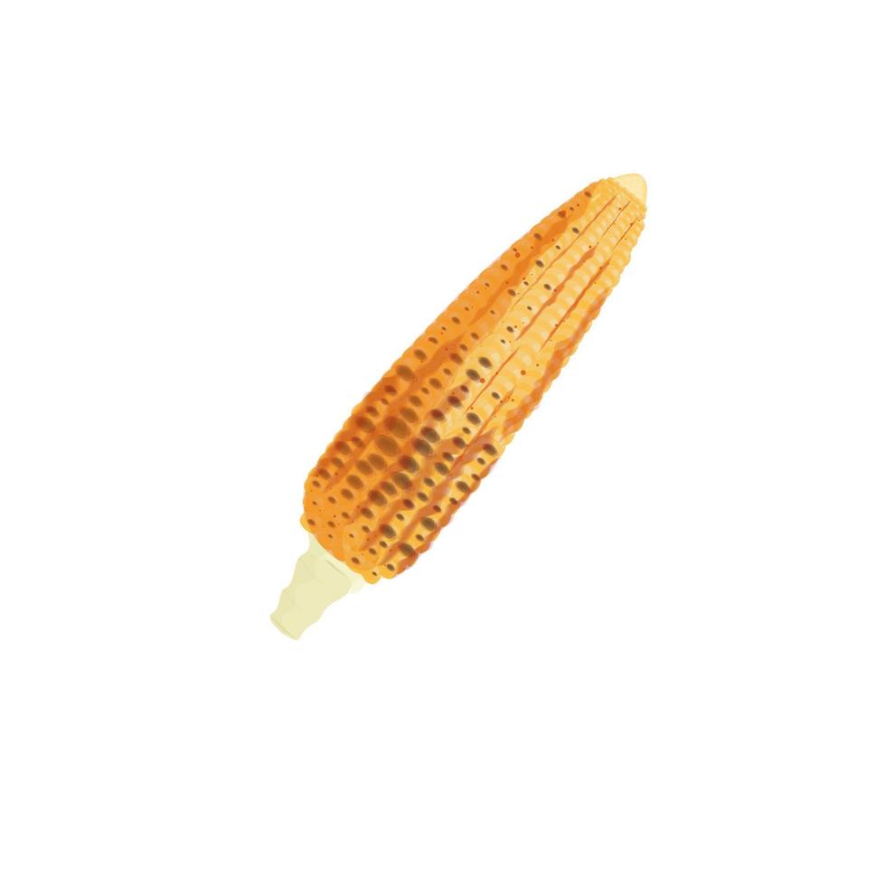 rostad majs enkel illustration logotyp på vit bakgrund vektor