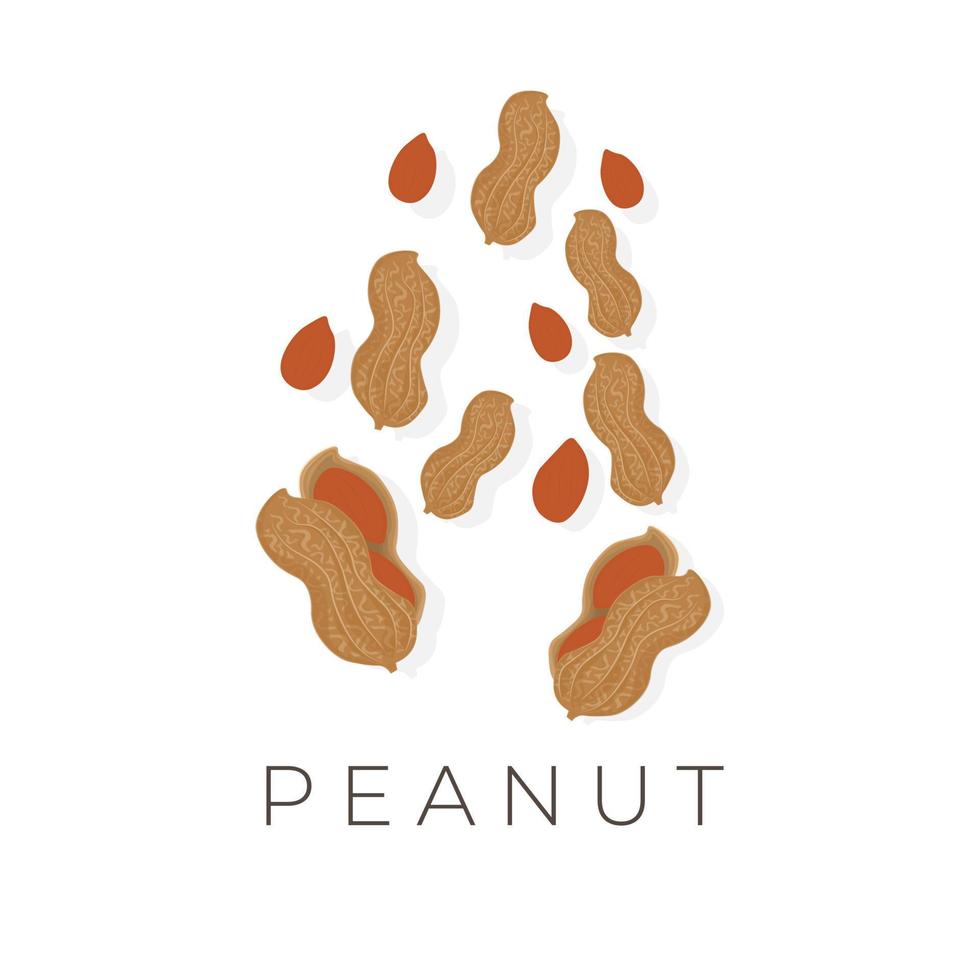 Vektor Illustration von geschält Erdnüsse und Nüsse mit Skins Sammlung