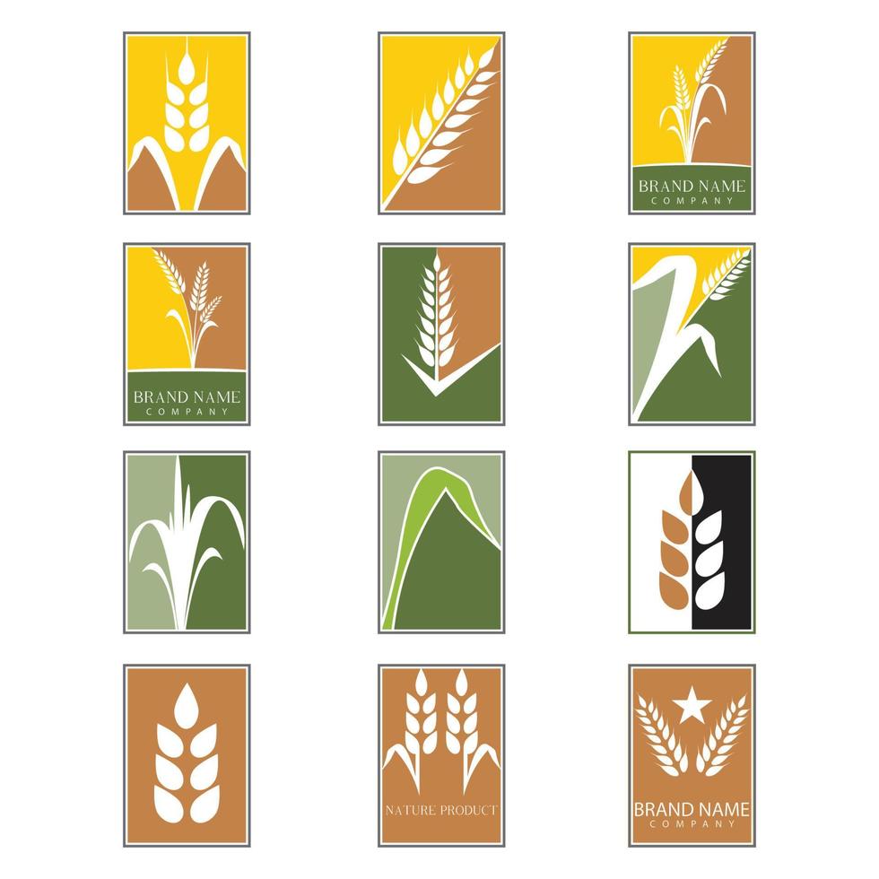 Landwirtschaft Weizen Vektor Icon Design