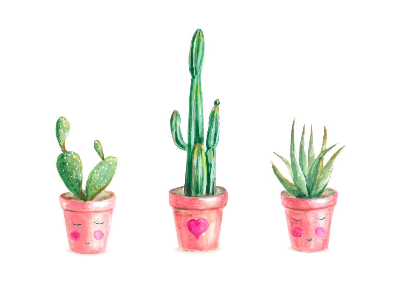 uppsättning av tre vattenfärg kaktus isolerat på vit bakgrund. vektor hand dragen illustration av hus växter. Bra för etiketter, klistermärken, hälsning kort, omslag och Övrig botanisk design.