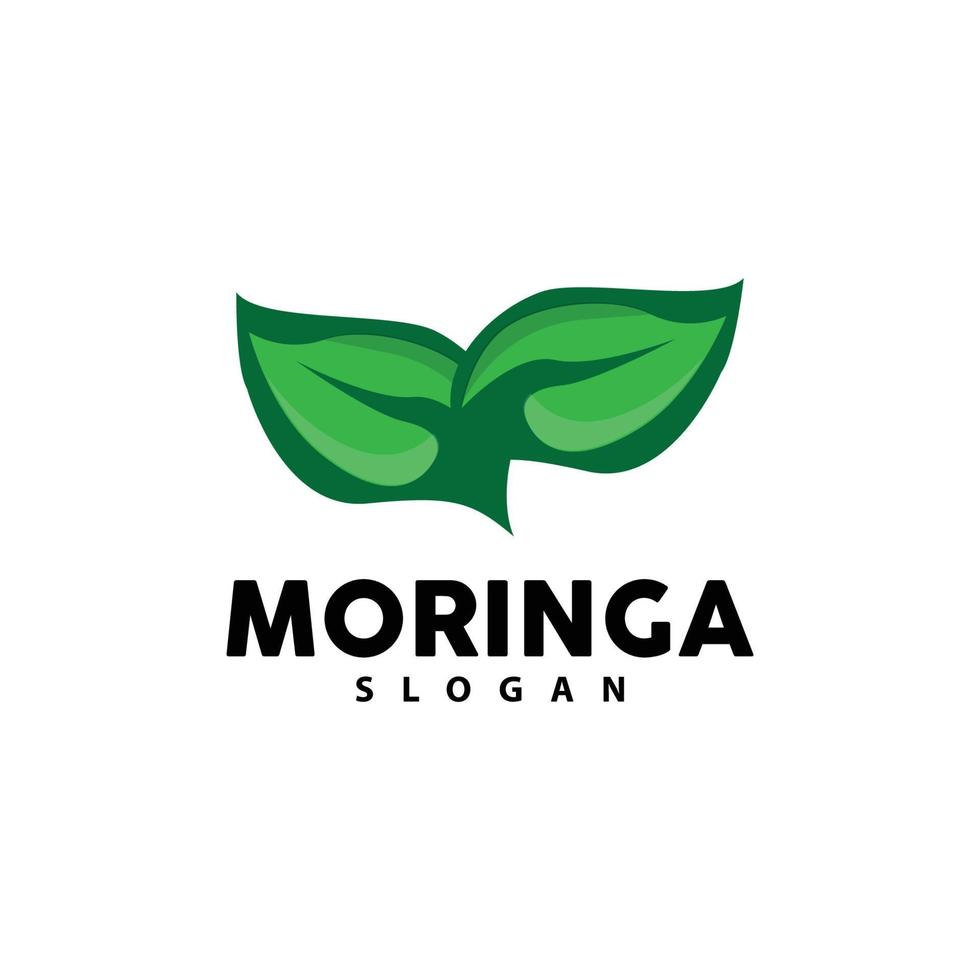 blad logotyp, eco grön växt vektor, grön jord vård återvinning design, moringa blad logotyp ikon mall illustration vektor