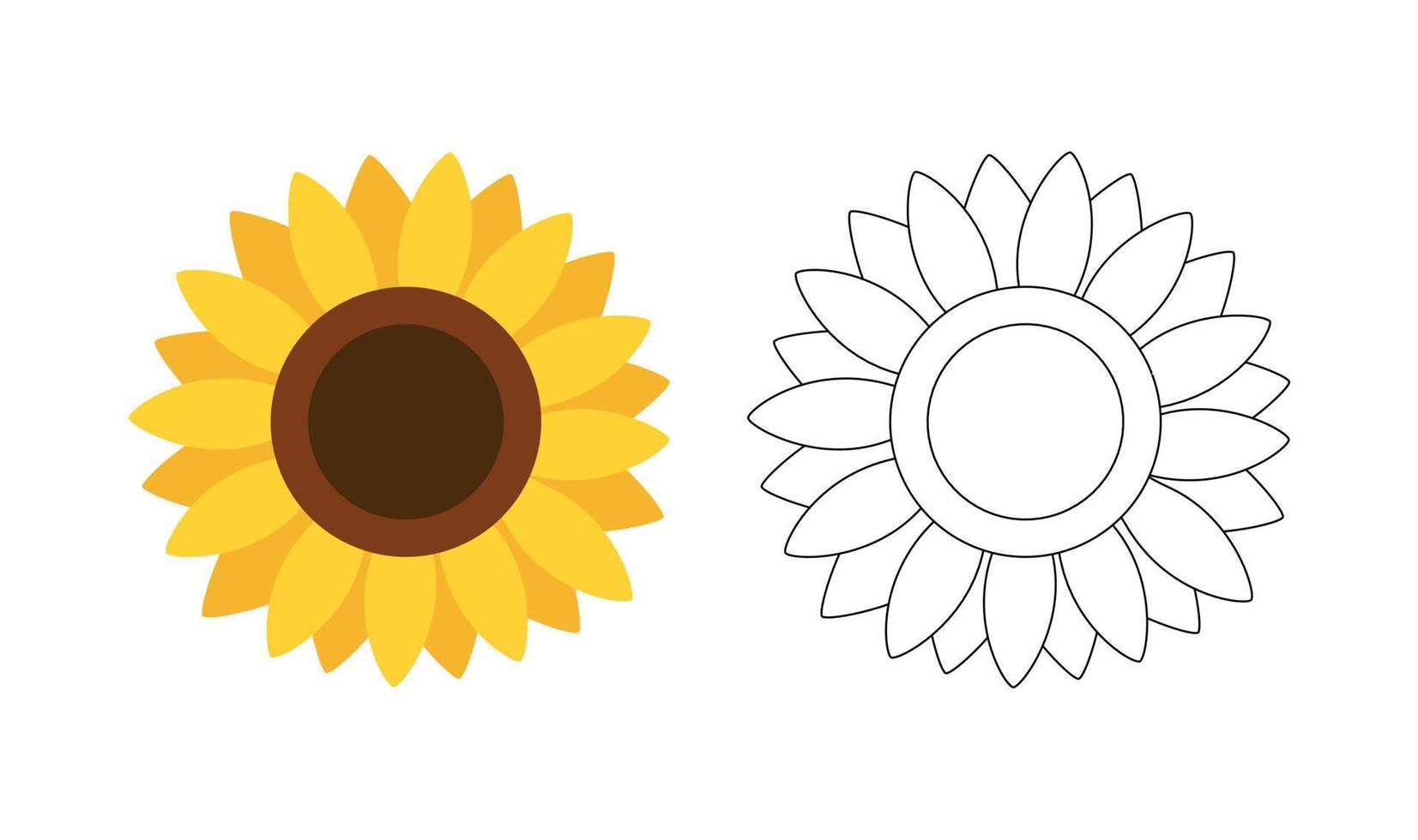 solros isolerat. färgrik och svart och vit solros för färg bok. färg bok för barn. vektor