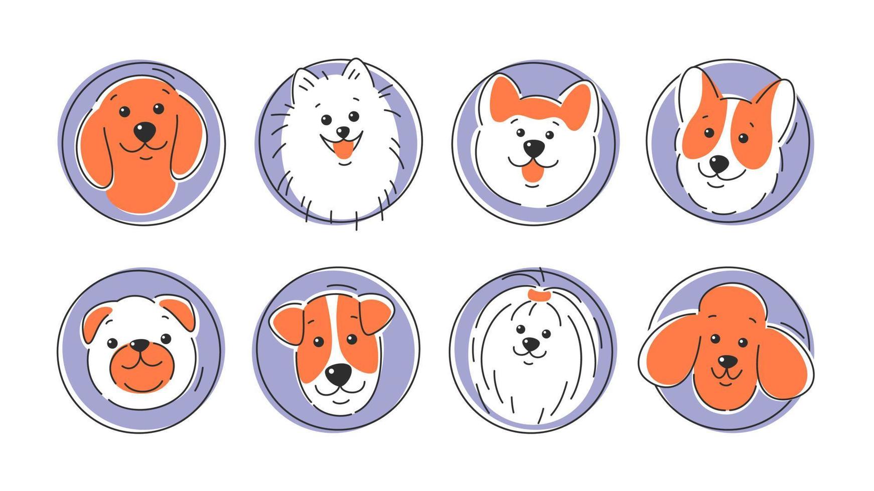 uppsättning av hund ansikten av annorlunda raser. corgi, akita, spets , tax, pudel, terrier, mops. vektor illustration på vit bakgrund