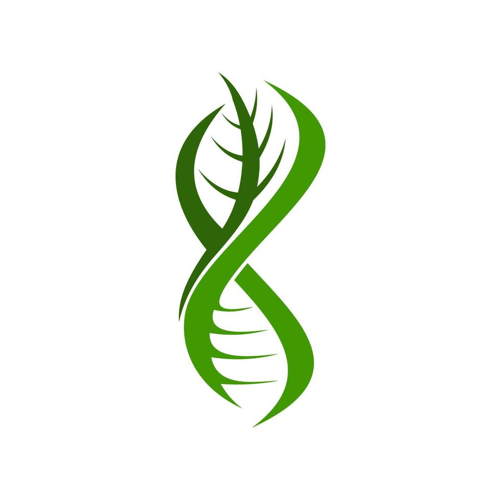 Pflanze Blatt DNA Spiral, Genetik Wissenschaft Symbol vektor