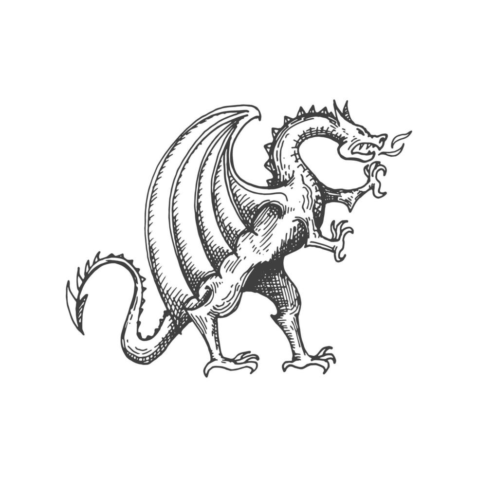 drake medeltida heraldisk djur- monster skiss vektor