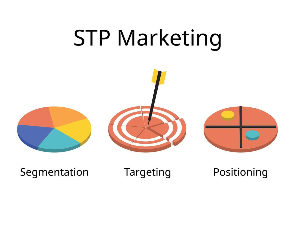 stp Marketing zum Segmentierung Ausrichtung, und Positionierung ist ein drei Schritt Marketing Rahmen vektor