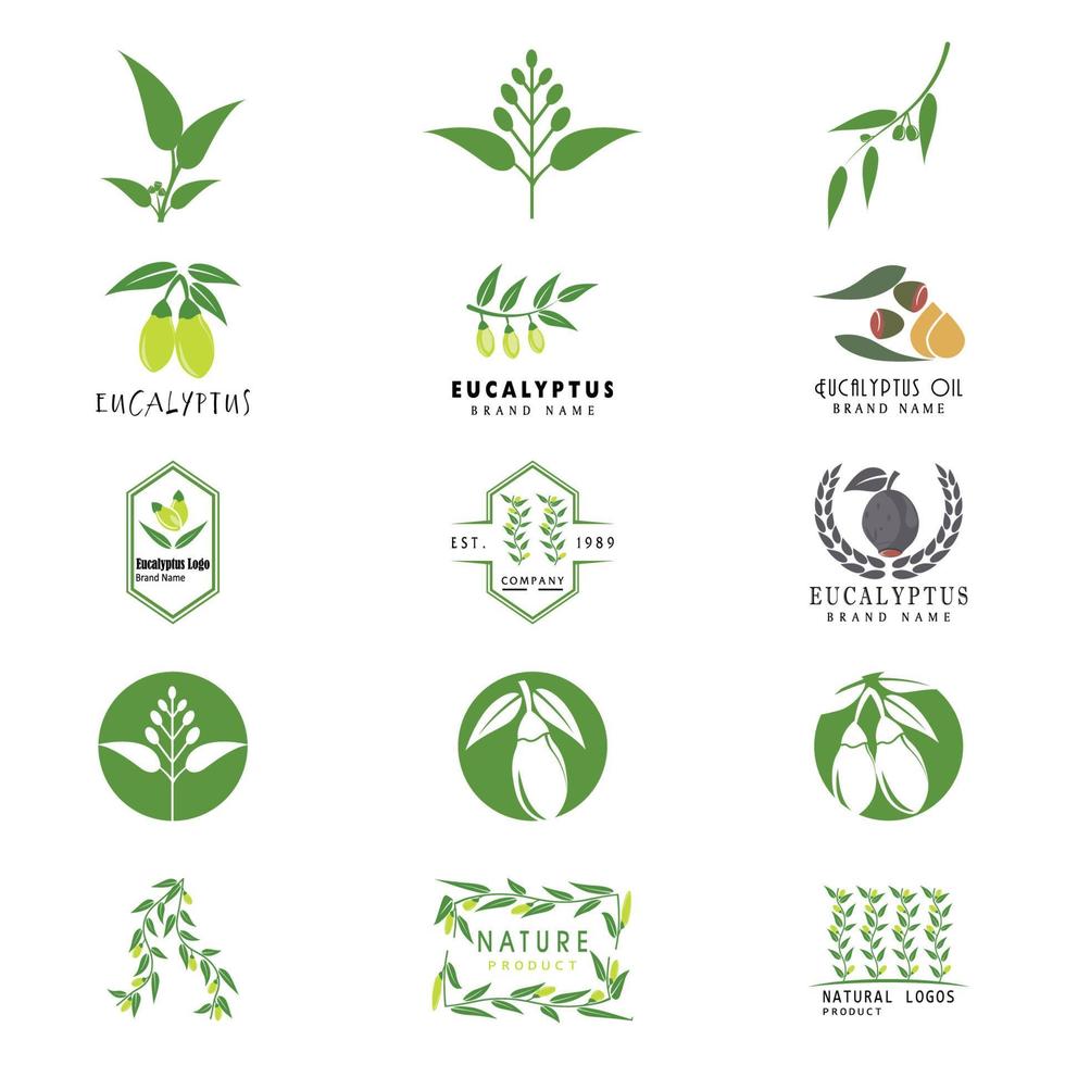 Eukalyptusblätter Logo Vektor Vorlage Design Illustration