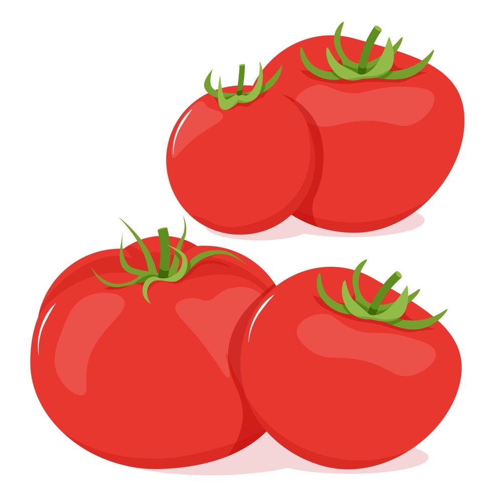 en uppsättning av röd tomater plockade i par vektor