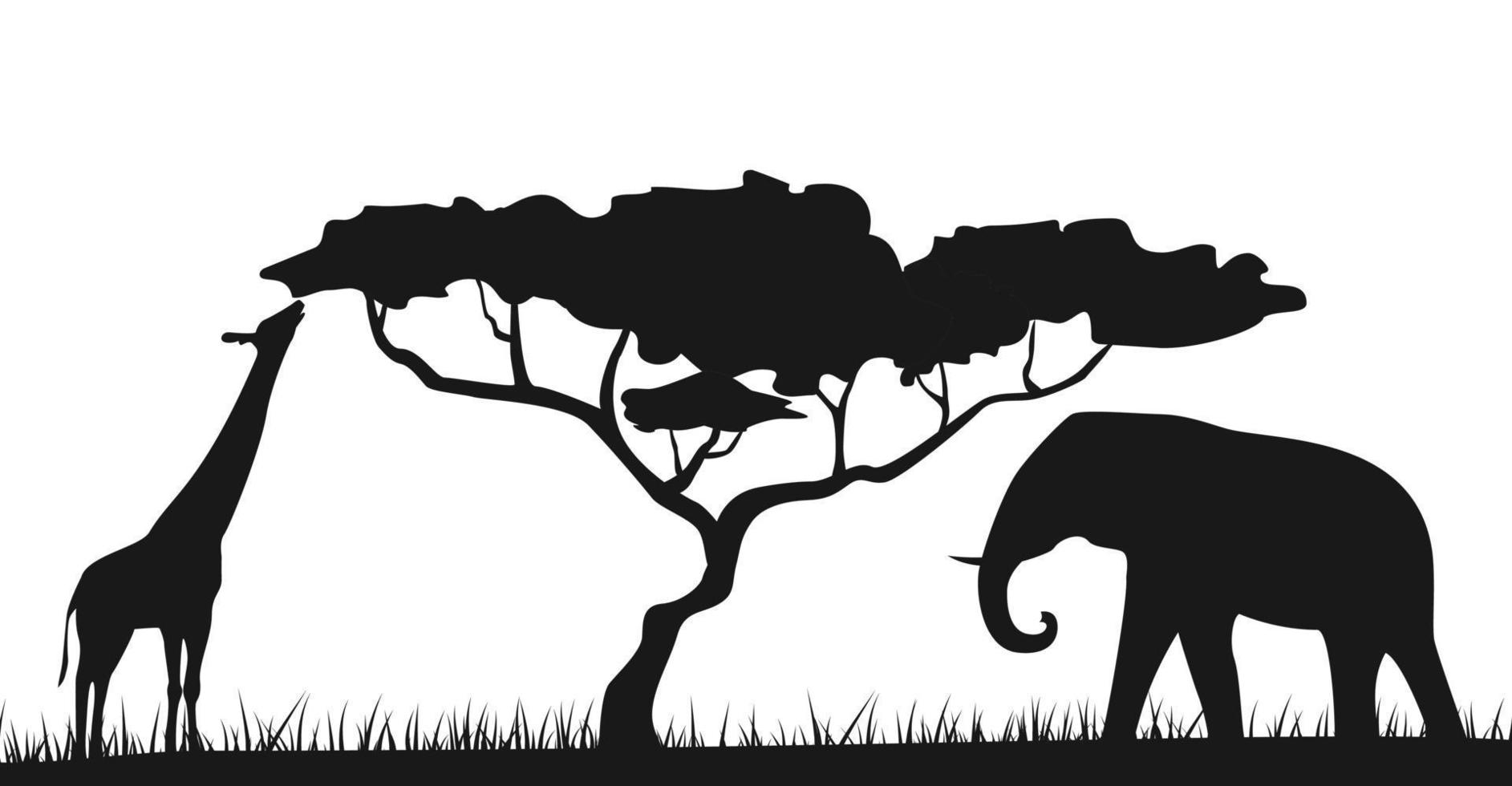 ett afrikansk safari djur- savann silhuett bakgrund landskap scen. elefant och giraff vektor illustration. vektor.