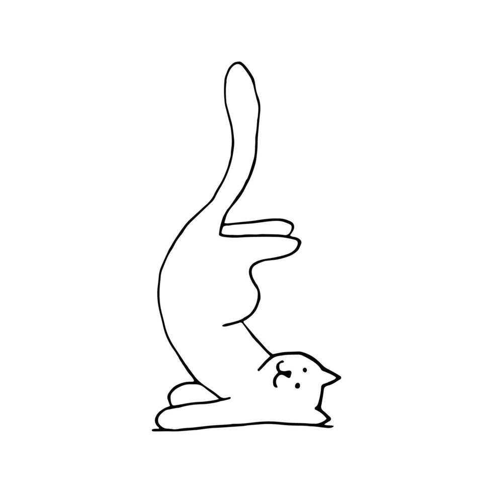bezaubernd Hand gezeichnet Katze Sitzung im Yoga Pose. isoliert auf Weiß Hintergrund Zeichnung zum Textil- Drucke, Kind Poster, süß Schreibwaren. vektor