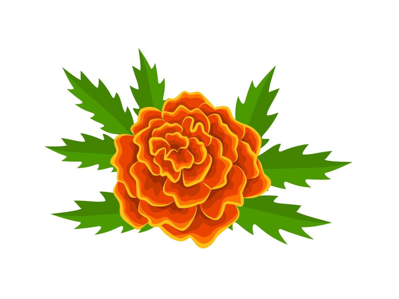 Vektor Illustration, Französisch Ringelblume Blume, mit Grün Blätter, isoliert auf Weiß Hintergrund.