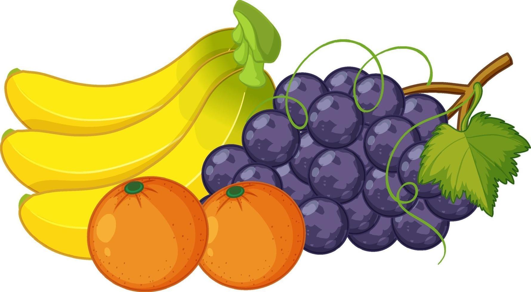 Gruppe von Früchten lokalisiert auf weißem Hintergrund vektor
