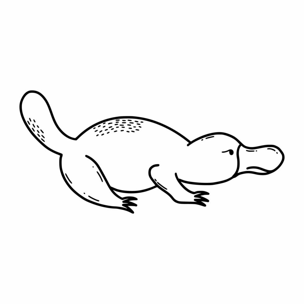 Entenschnabel. Tiere von Australien. Vektor Gekritzel Illustration. skizzieren.