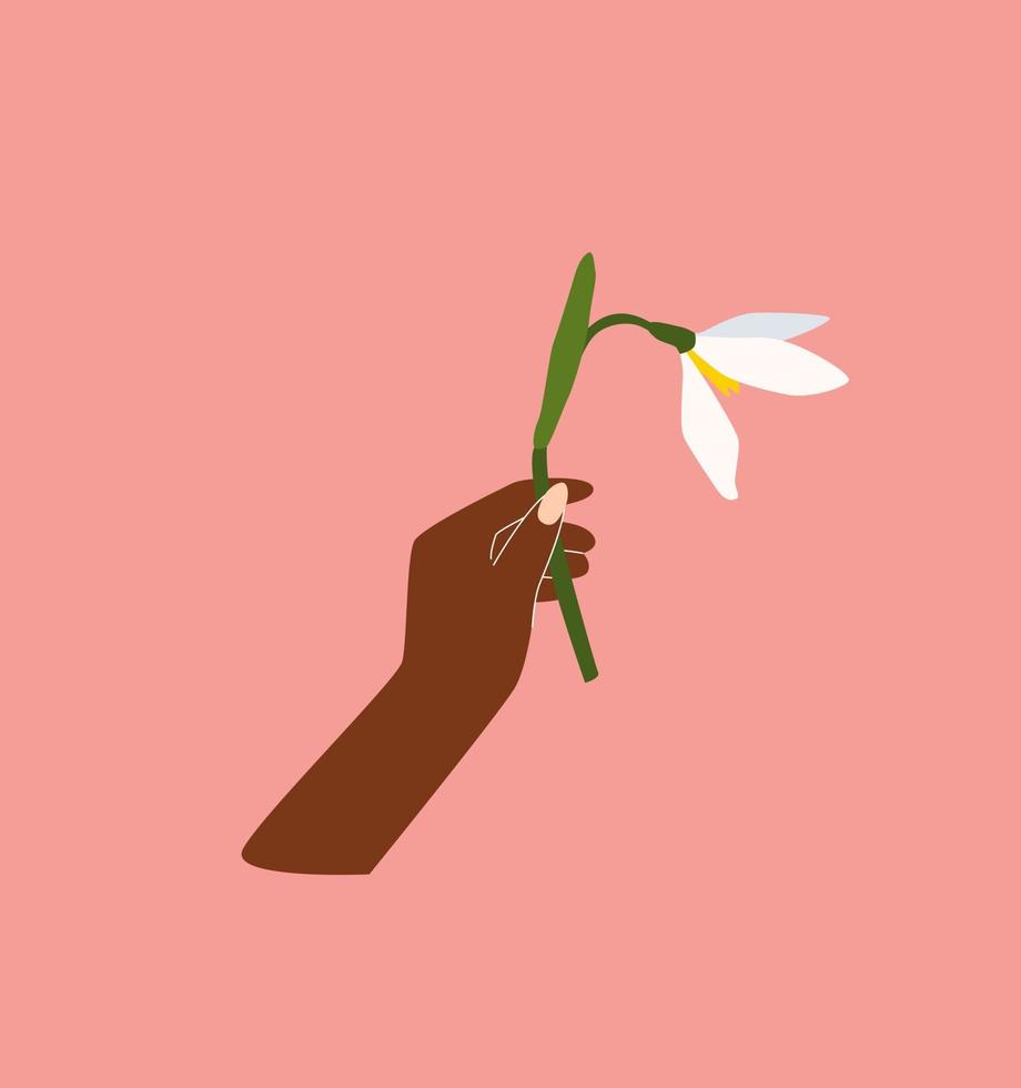 schwarz Frau Hand halten Schneeglöckchen. früh Frühling Blumen. blühen Natur Wildblumen. Wiese. Vektor Illustration