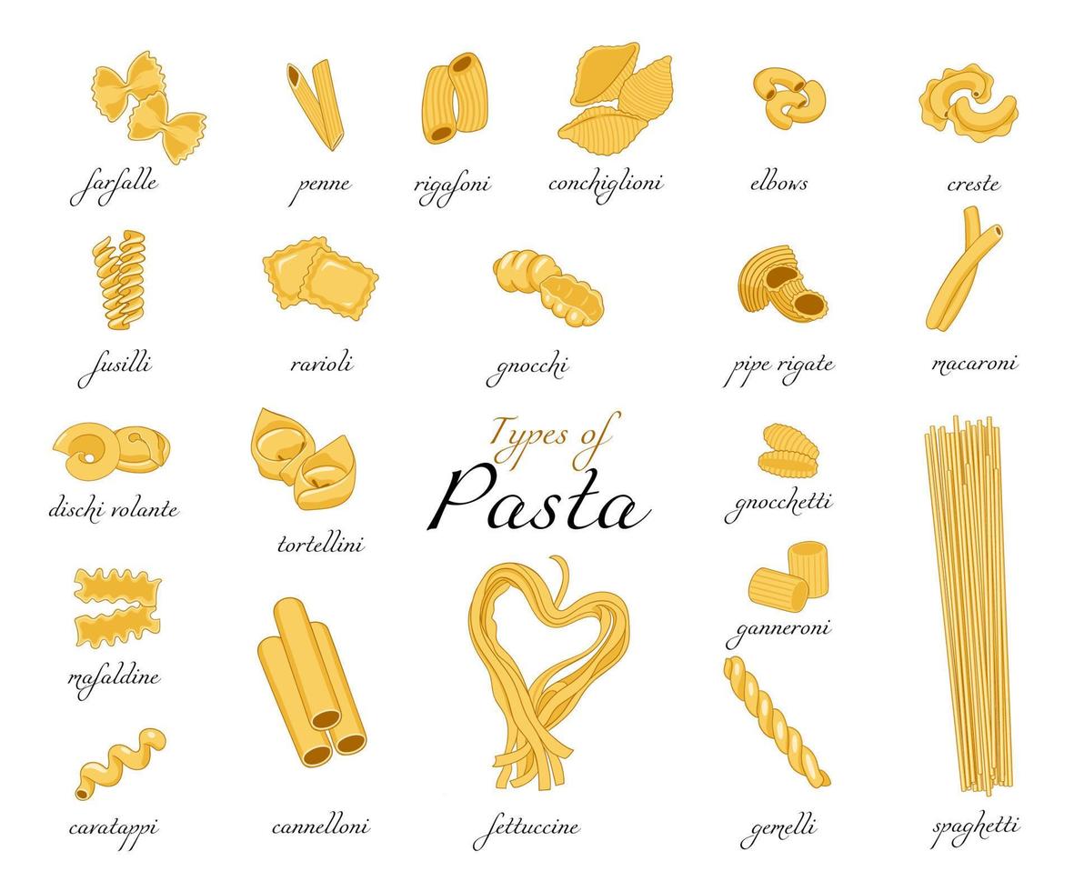 samling av pasta. uppsättning av annorlunda typer av pasta isolerat på vit bakgrund. vektor grafik