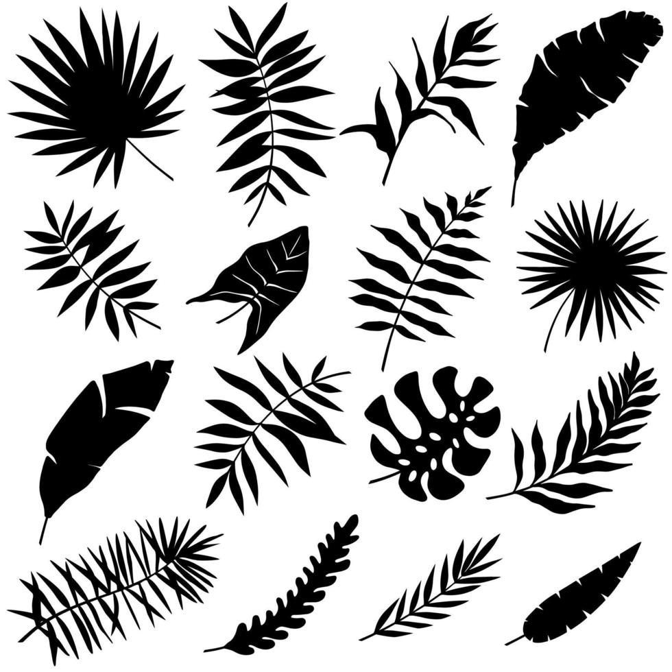 tropisch Blätter Vektor. einstellen von Palme Blätter Silhouetten isoliert auf Weiß Hintergrund. vektor