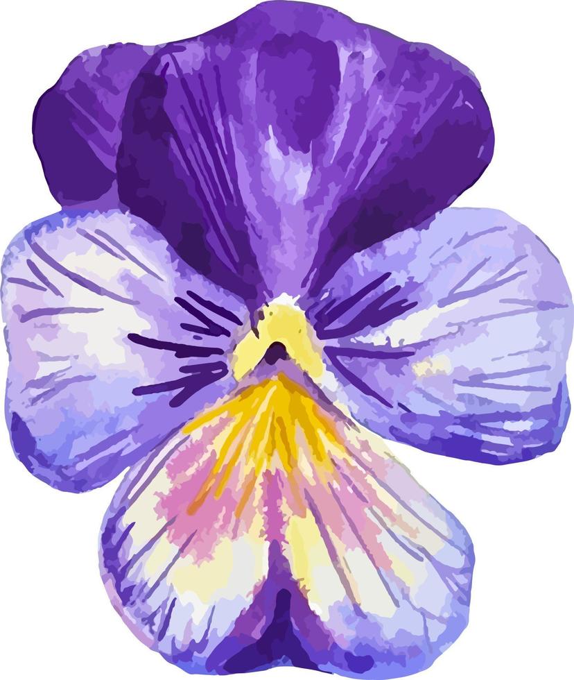 fikus lila blomma vattenfärg ClipArt botanik illustration isolerat på vit vektor