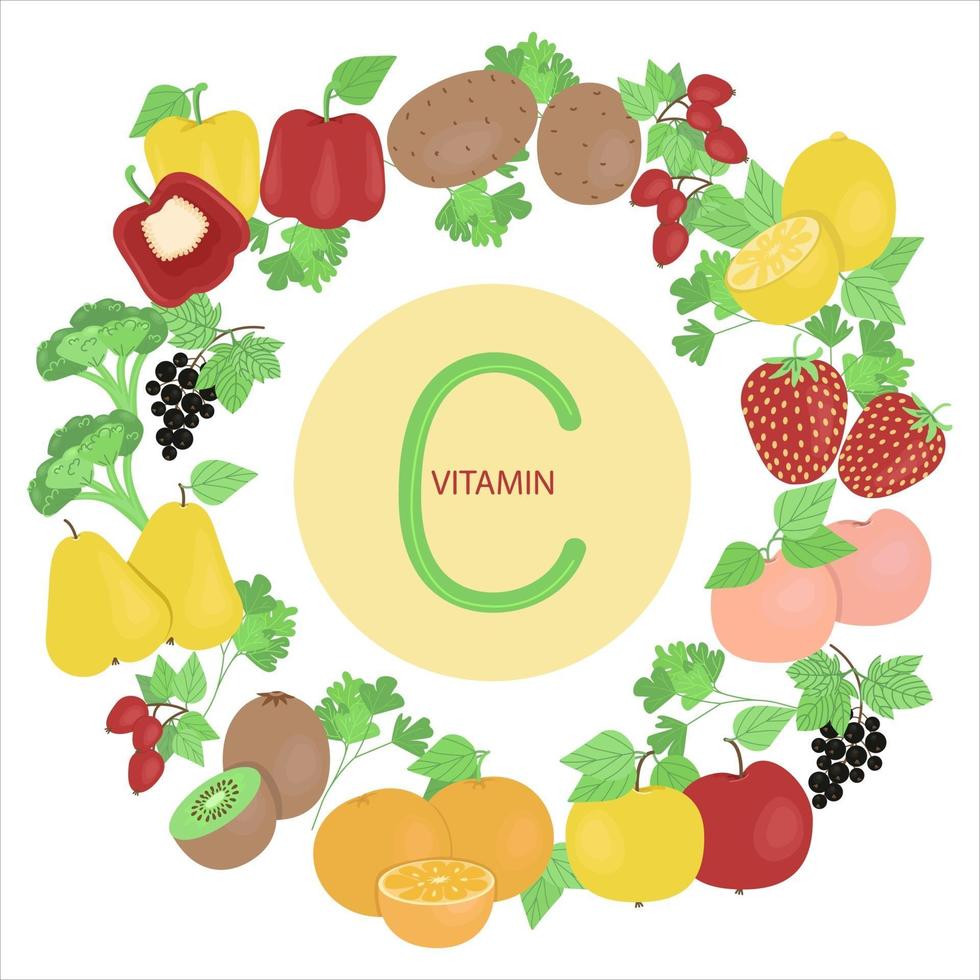 uppsättning av frukter och grönsaker som innehåller vitamin C, frukt och grönsaker placerade runt vitamin C, vektorillustration i platt stil på en vit bakgrund. vektor