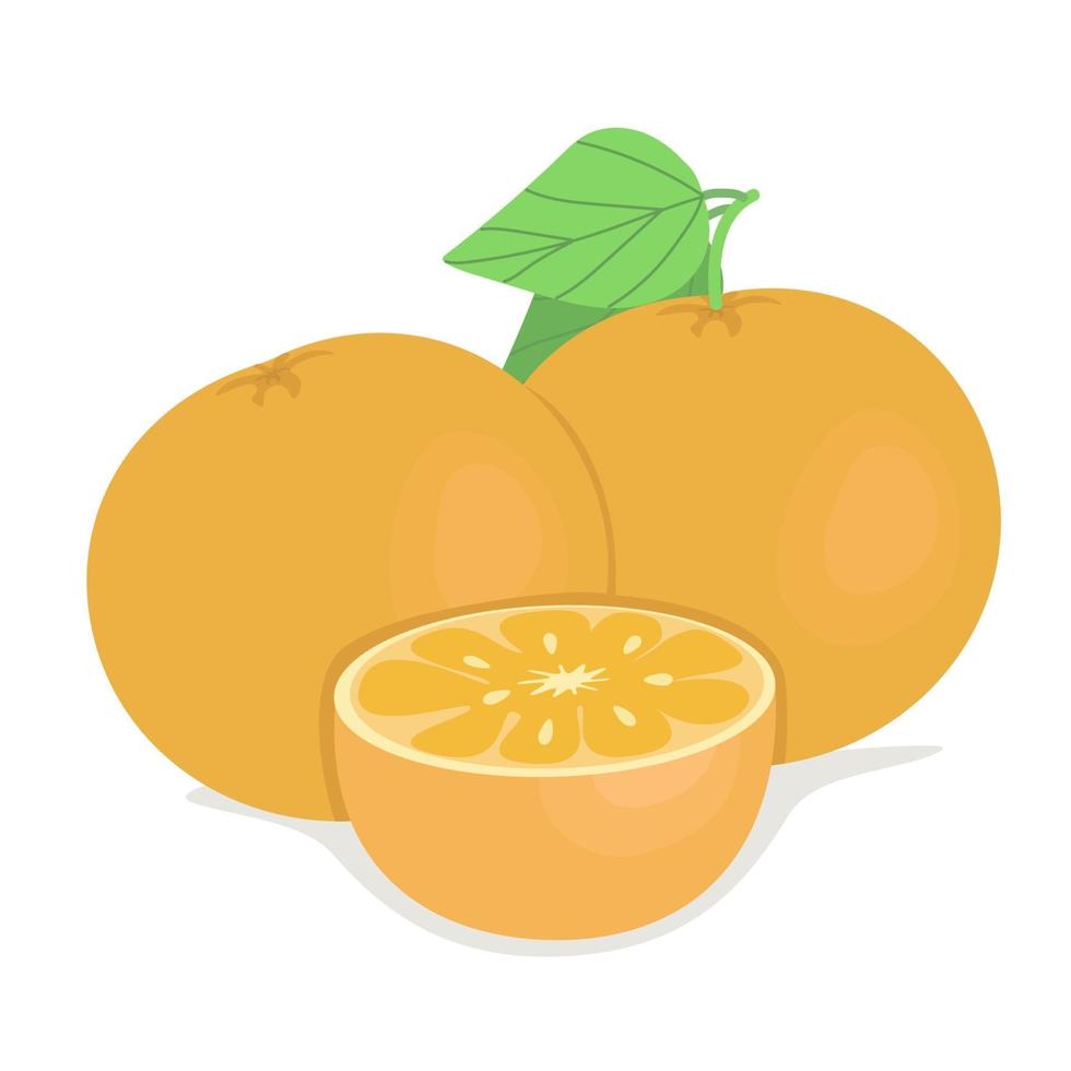 Komposition mit Orangen, reifen Zitrusfrüchten, leuchtend orangefarbenen Früchten, saisonalen Vitaminen, Vektorbild im flachen Stil. vektor