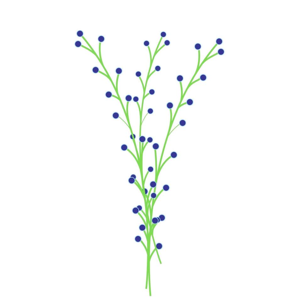 grüne Zweige mit blauen Beeren, Blumendekorelement, Blume mit kleinen blauen Knospen, Dekor für Blumensträuße, Vektorobjekt, Illustration im flachen Stil. vektor