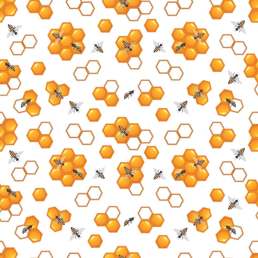 mönster med bin och bikakor på en vit bakgrund vektor