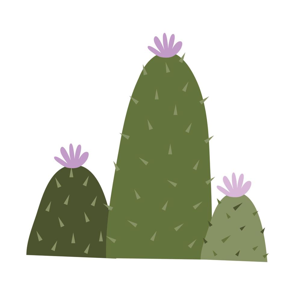 Kaktus und Sukkulenten, Vektor Illustration im eben Stil