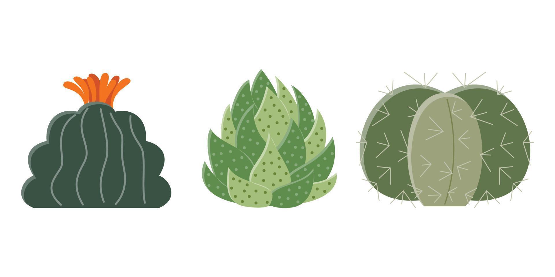 Kaktus Illustration im ein eben Stil auf ein Weiß Hintergrund. Zuhause Pflanzen Kaktus Illustration. vektor