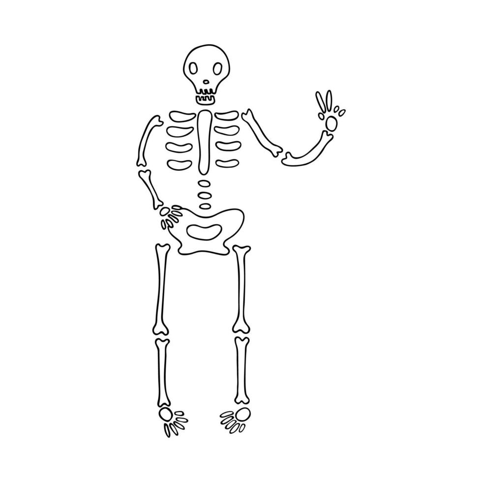 skelett visar en fred tecken. halloween fest hälsningar vektor