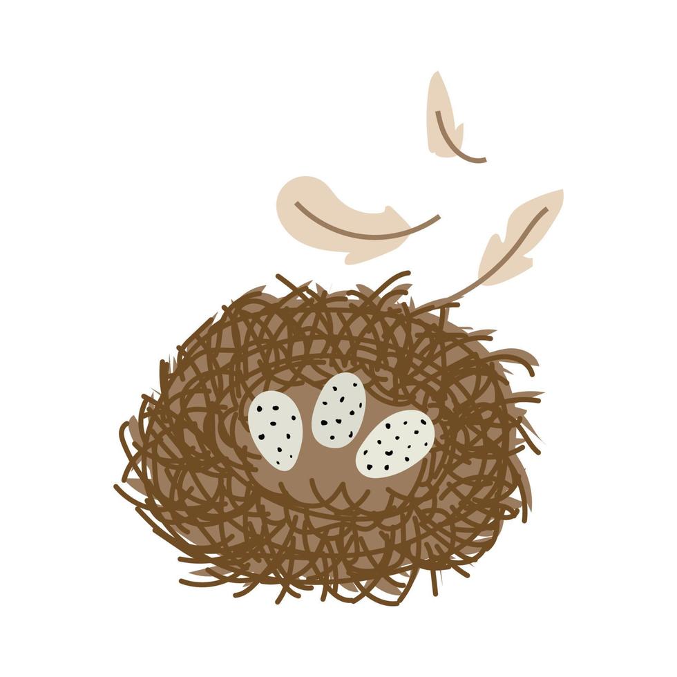 fågel bo med ägg och fjädrar. vektor illustration.