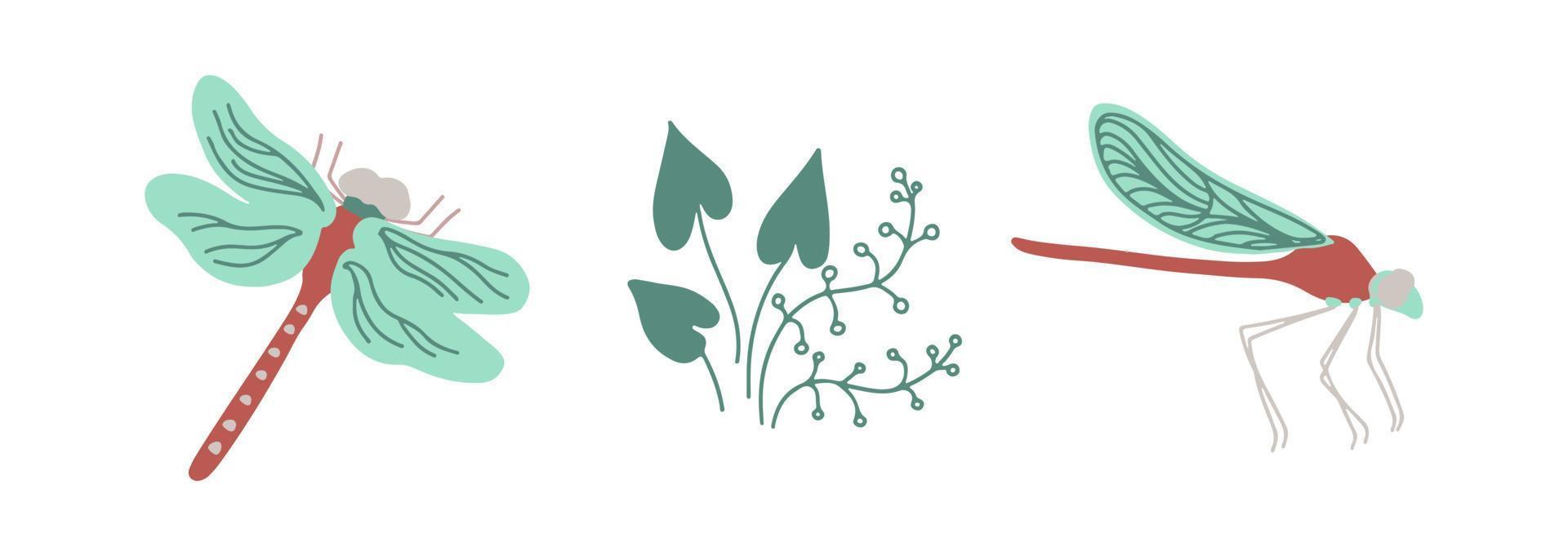 Libellen oben Aussicht und Seite Aussicht mit Feuchtgebiet Pflanzen isoalted auf Weiß Hintergrund. Hand gezeichnet Vektor Illustration.