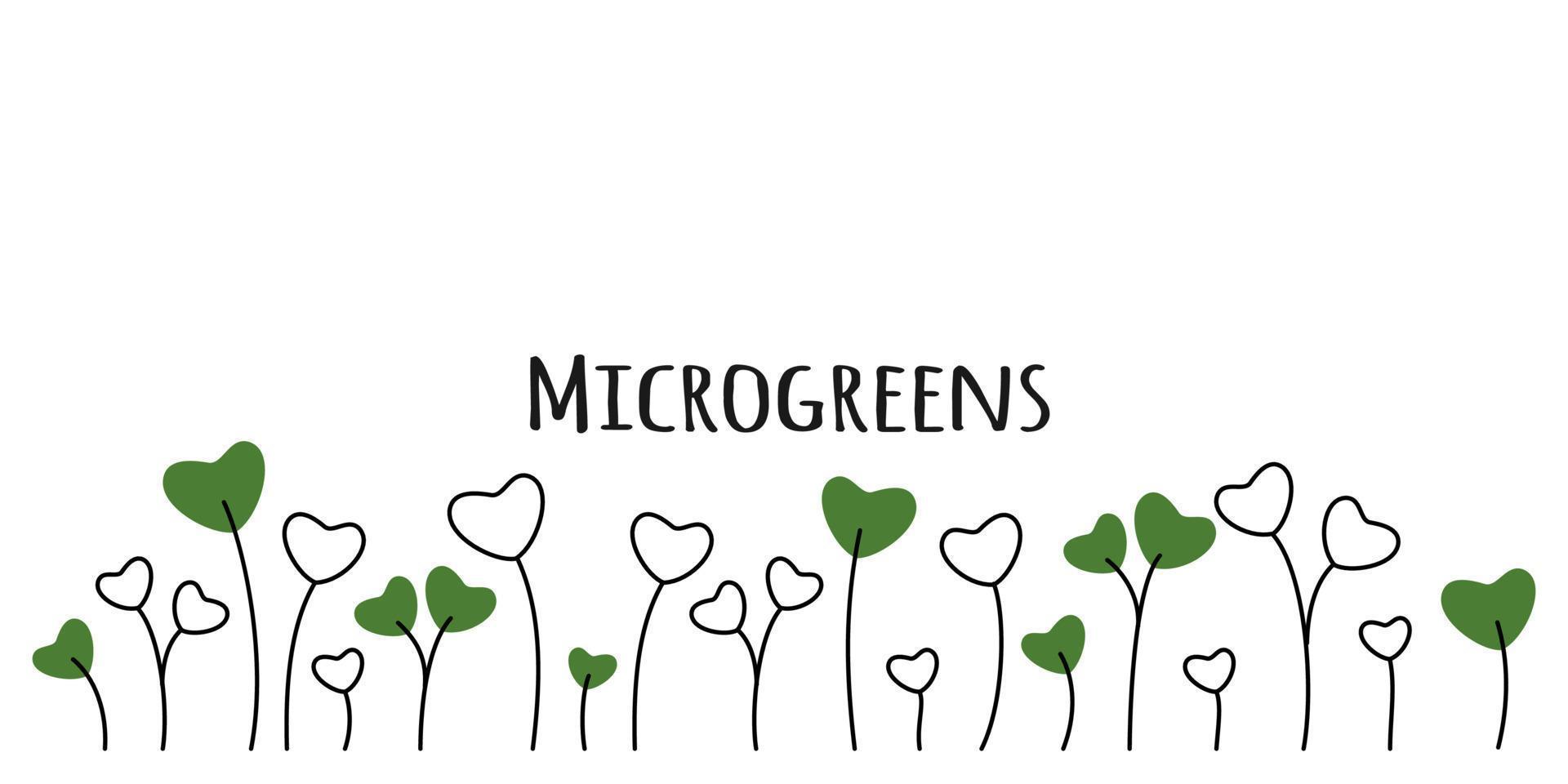 färgad microgreen blandad frön ärtor lök rädisa beta och andra på vit bakgrund vektor illustration