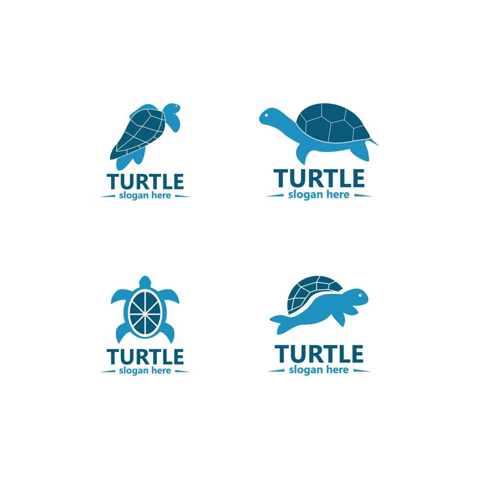 sköldpadda logotyp bild vektor illustration