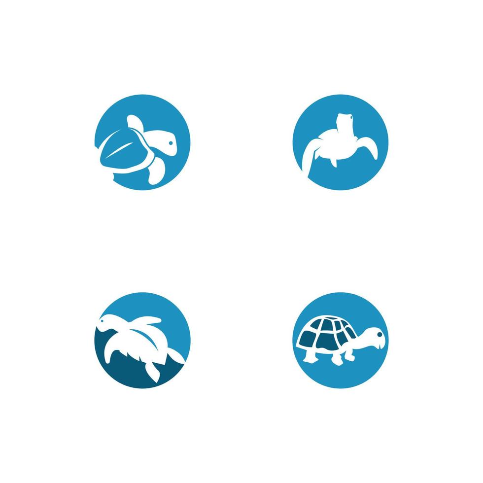 sköldpadda logotyp bild vektor illustration