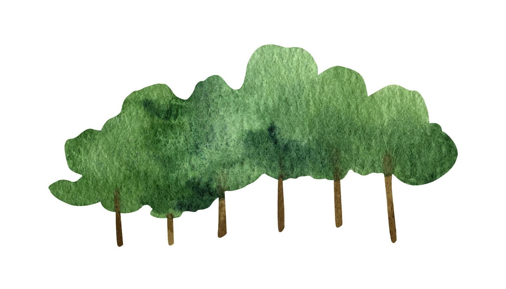 hand dragen vattenfärg skog lövfällande träd ClipArt vektor