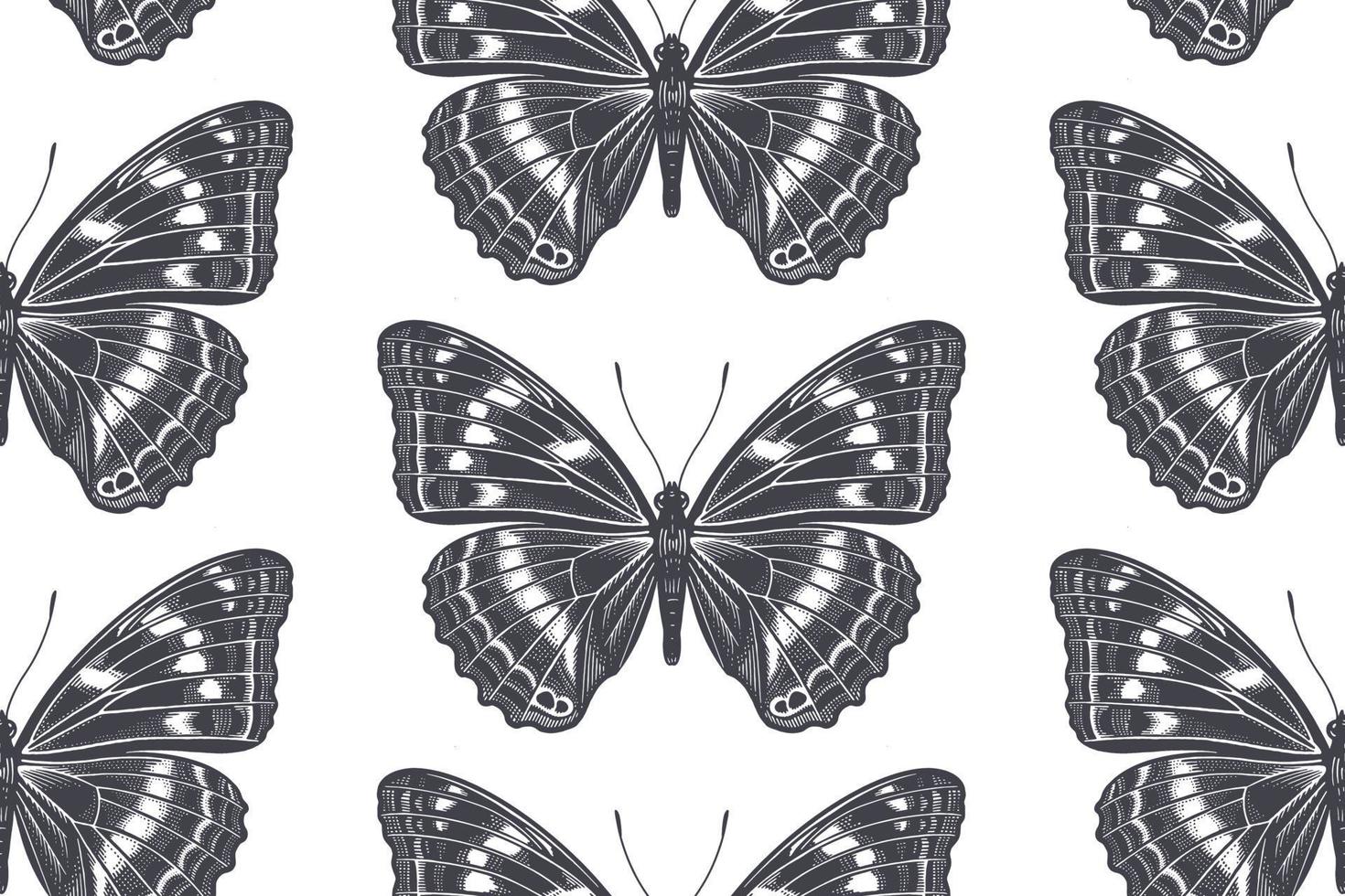 svart och vit tropisk fjärilar. sömlös mönster. vektor