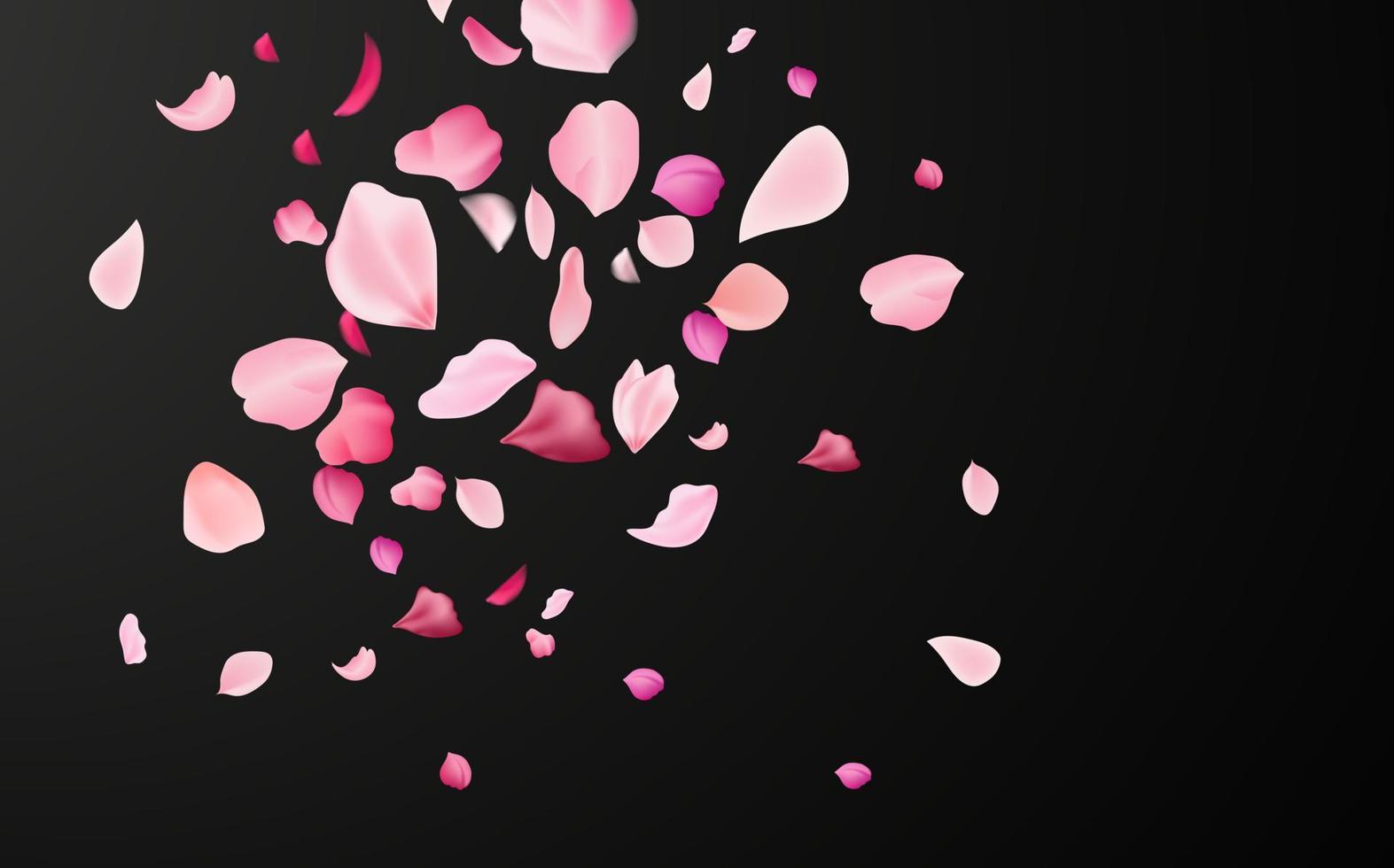 fliegend fragil Rosa und Weiß Sakura Blütenblätter. Symbol von japanisch Kultur. vektor
