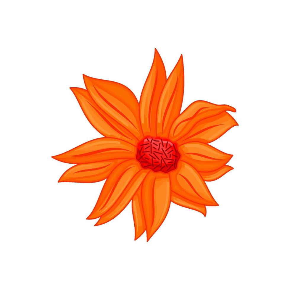 vektor blommig botanisk blomma illustration prydnad orange