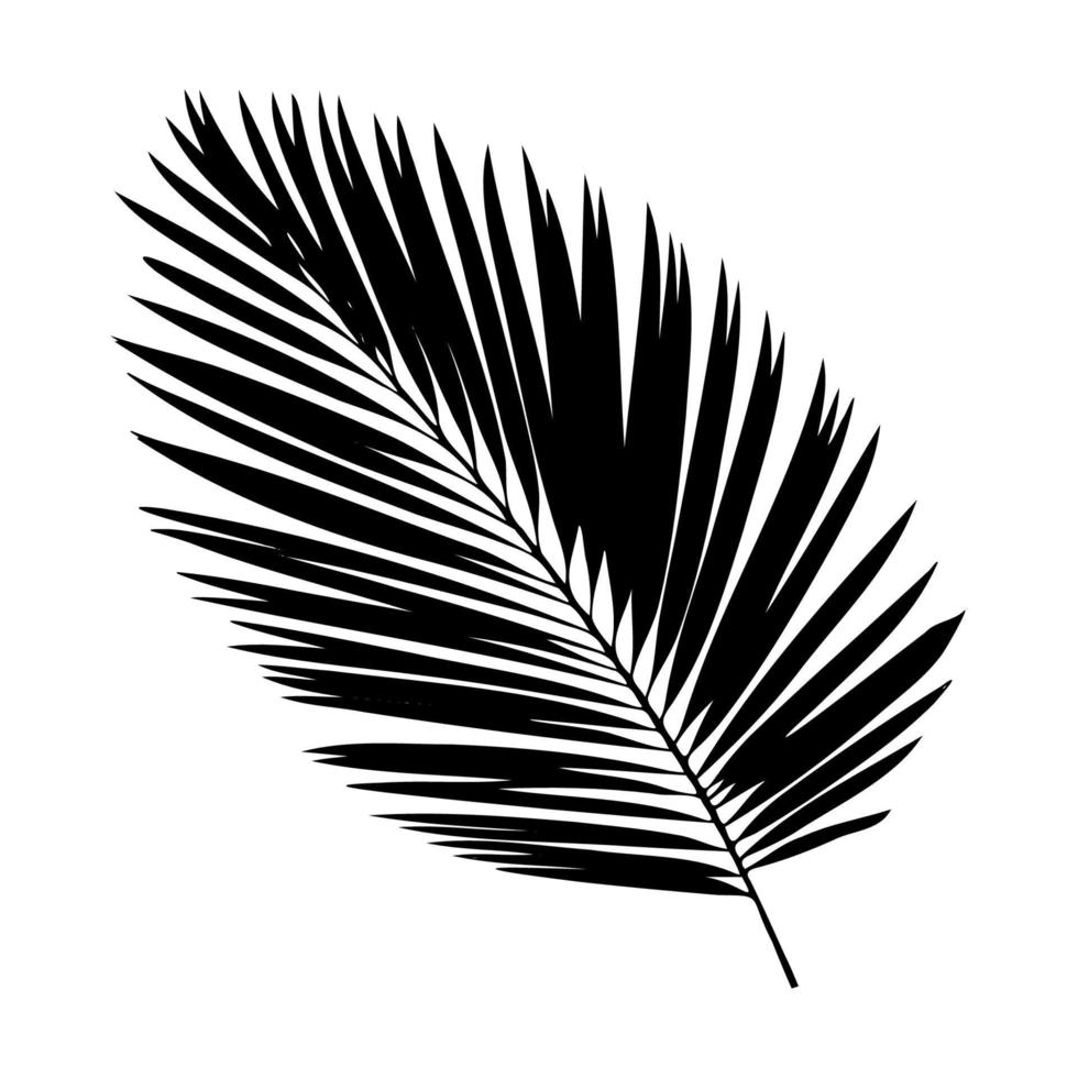 Palme Blatt Silhouette. Vektor Illustration