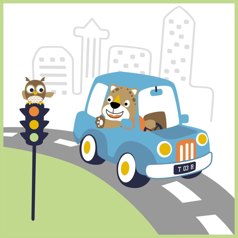 Vektor Karikatur von komisch Katze Fahren Auto mit Eule auf Ampel