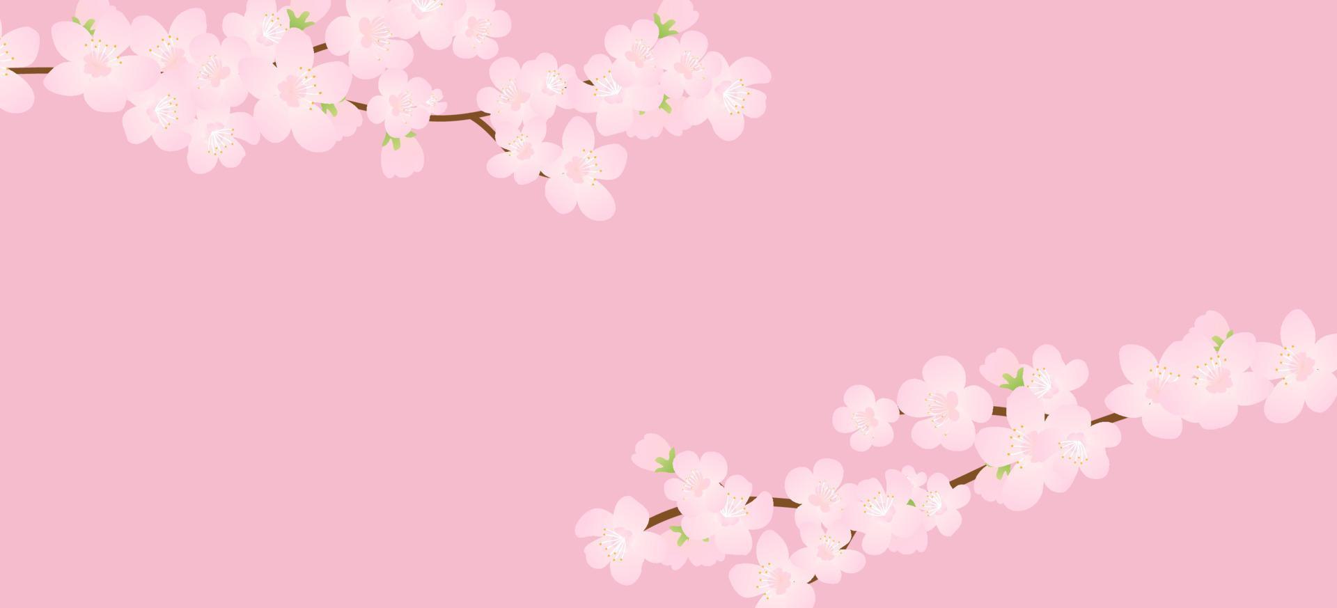 rosa körsbär blomma, vektor illustration. vektor bakgrund