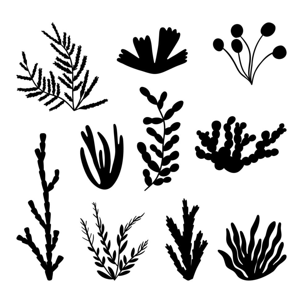 einstellen Seetang Silhouette. Marine Pflanze Elemente. isoliert Vektor Illustration auf Weiß Hintergrund.